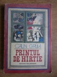 Calin Gruia - Printul de hartie