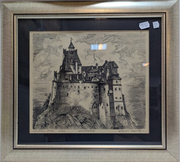 Gravura &quot;Castelul Bran&quot; - Vasile Diviza