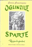 Oglinzile sparte Roman de Ganduri Sorin Camorosan Editura Fundatiei Romania de Maine 1997 Literatura Romana Coperta Cartonata