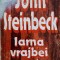 IARNA VRAJBEI NOASTRE-JOHN STEINBECK-259093
