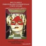 Din culisele psihoterapiei experientiale unificatoare. Studii de caz si cercetari aplicative - Iolanda Mitrofan, Sorina Daniela Dumitrache