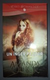 Un inger pazitor &middot; Amanda Quick