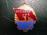 Insigna Romania 1959 - Brigadier al Muncii Patriotice