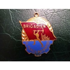 Insigna Romania 1959 - Brigadier al Muncii Patriotice