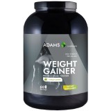 Weight Gainer cu aroma de vanilie, 3000g, Adams Vision