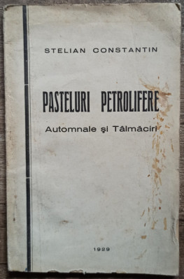 Pasteluri petrolifere - Stelian Constantin// 1929, dedicatie pt. Perpessicius foto