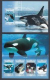 Cumpara ieftin Sao Tome si Principe 2014 - Fauna Marina - ORCA - BL+ KB - MNH, Nestampilat