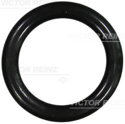 VICTOR REINZ 40-76240-00 Garnitura, galerie admisie foto
