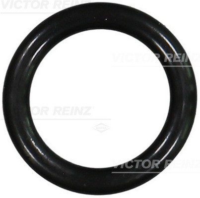 VICTOR REINZ 40-76240-00 Garnitura, galerie admisie