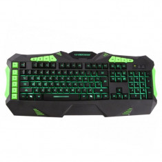 TASTATURA GAMING ILUMINATA KESTREL ESPERANZA EuroGoods Quality foto