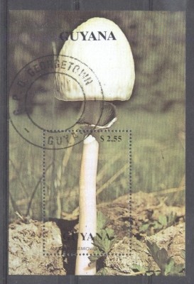 Guyana 1990 Mushrooms, perf. sheet, used T.150 foto