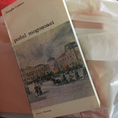 GHEORGHE CRUTZESCU, PODUL MOGOSOAEI. POVESTEA UNEI STRAZI( CALEA VICTORIEI)