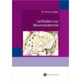 Leitfaden zur Neuroanatomie - Hajdu Ferenc