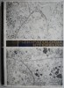 Fiziopatologia Icterelor - I. Pavel, Carte Medicina (Noua/Anticariat) - Ghid Complet