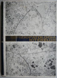 Fiziopatologia icterelor &ndash; I. Pavel