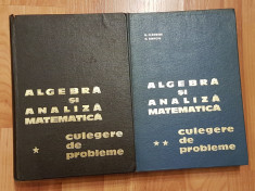 Algebra si analiza matematica. Culegere de probleme Donciu, Flondor (2 vol.) foto