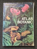 ATLAS BOTANIC - Popovici, Moruzi, Toma