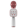 Microfon Bluetooth pentru copii, karaoke, boxa,cablu de incarcare USB - Rose Alb