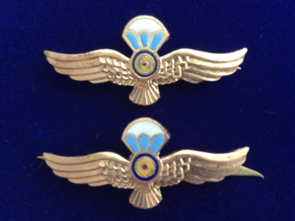 Insigne militare -Semne de armă - Aviație - Parașutiști militari actuale  (aurii) | Okazii.ro