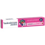 Pastă De Dinți Pentru Copii, Vademecum, Junior 6+ Căpșuni, Protecție &Icirc;mpotriva Cariilor, Curățare Delicată Dinți Copii, 75 ml