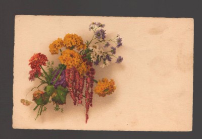 CPIB 20828 FELICITARE - BUCHET DE FLORI, PP, NECIRCULATA foto