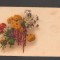 CPIB 20828 FELICITARE - BUCHET DE FLORI, PP, NECIRCULATA