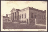 5251 - TURNU MAGURELE, Teleorman, Justice Palace - old postcard - used - 1917, Circulata, Printata