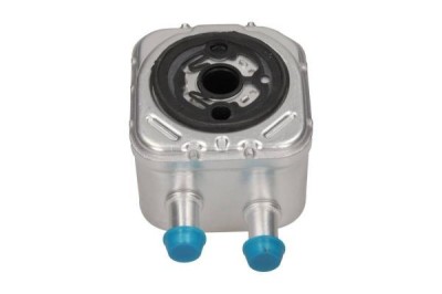 Termoflot Audi A3; A4 (B5), A6 (B6/C5); A8 (D2) Skoda OCTAVIA 1 (1U2/1U5), 1999-2010, SUPERB (3U), 12.2001-04.2008, Vw Bora Golf 4; PASSAT (B5) 1999- foto