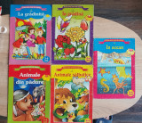 5 x Prima mea carte de colorat: La grădiniță * &Icirc;n grădină *Animale din pădure...