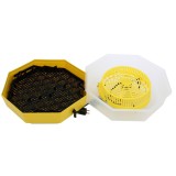 Incubator electric (clocitoare) oua cu dispozitiv de intoarcere Cleo 5 D, 230V, 41 oua capacitate, 38 grade temperatura incubare, IPEE