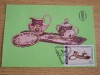 Maximafilie C12 Romania Portelanuri, Prima Zi Emisiune/Expozitie - Colectie Timbre