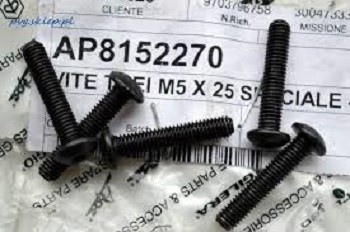 Surub imbus carene M5x25 Cod Produs: MX_NEW AP8152270PI foto