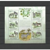 MOZAMBIC 2010 FAUNA ANIMALE SALBATICE ZEBRE