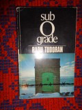 Sub 0 grade / Sub zero grade - Radu Tudoran ( volumul 7 din ciclul " sfarsit de mileniu ")