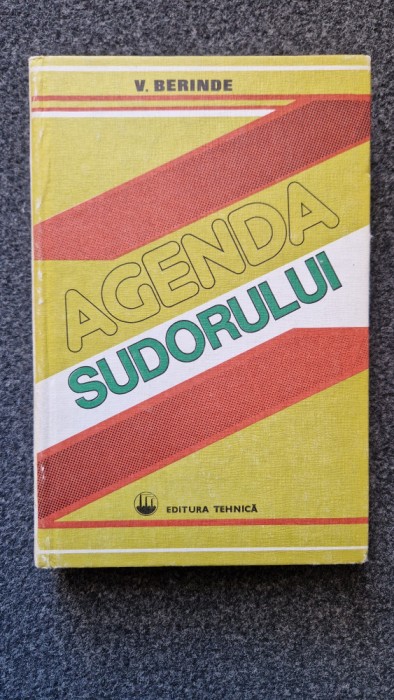 AGENDA SUDORULUI - Berinde