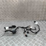 Cablaj ușă dreapta spate AUDI Q4 SUV F4B 2023 OEM: TAB010403ER 28632026