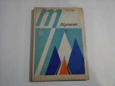 ALPINISM Tehnica sportului de munte - Walter KARGEL