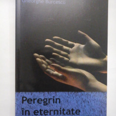 Peregrin in eternitate - poezii - Gheorghe Burcescu