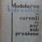 MODELAREA HIDRAULICA IN CURENTI DE AER SUB PRESIUNE-S. HANCU-231248