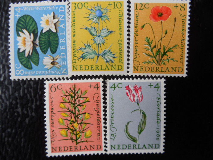 Serie timbre flora flori plante Olanda nestampilate timbre filatelice postale