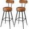 VASAGLE set 2 scaune de bar rotative 360&deg;, cu spatar, inaltime 101 cm, piele sintetica, cadru otel, stil modern, maro Household NewTrend