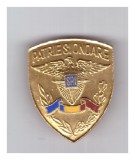 Insigna SRI Patrie si Onoare, impecabila