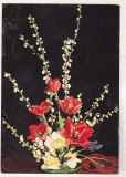 Bnk cp Felicitare - Flori - circulata - marca fixa - cod 0037/82