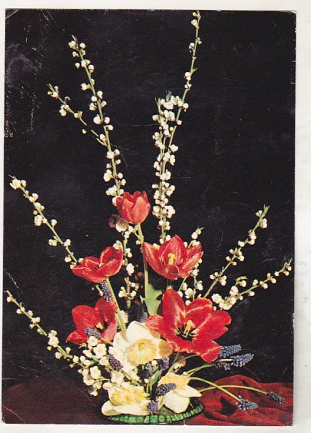 bnk cp Felicitare - Flori - circulata - marca fixa - cod 0037/82