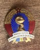 QW9 N8 86 - insigna - tematica comunism - medicina - Pentru merite in munca medico-sanitara, Romania de la 1950