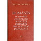 ROMANIA PE DRUMUL CONSTRUIRII SOCIETATII SOCIALISTE MULTILATERAL DEZVOLTATE VOL.23 NOIEMBRIE 1981-MAI 1982--249464