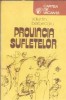 Provincia sufletelor Valentin Berbecaru carte de vacanta literatura romana clasica 1985 coperta cartonata editie rara
