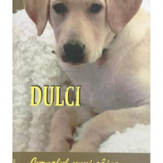 Dan Puric - Dulci. Jurnalul unui câine scris de un Puric Dan (editia 2015)