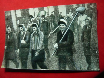 Fotografie - Brigadiere -Voluntare la Conducta Agnita -Botorca 1947 ,dim=16x10,5 foto