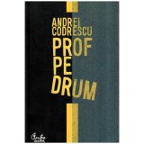 Andrei Codrescu - Prof pe drum - 114946
